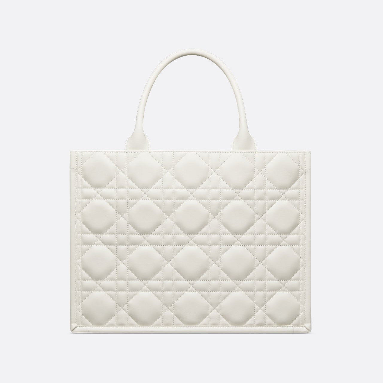 Sac Dior Book Tote Medium